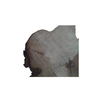 Plaster Akacji 59x60x8cm