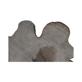 Plaster Akacji 59x60x8cm