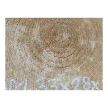 Plaster Czereśni 33x28x4cm