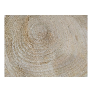 Plaster Czereśni 38x33x4cm