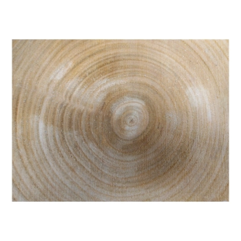 Plaster Czereśni 32x30x3cm