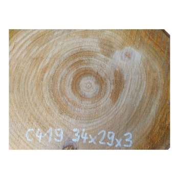 Plaster Czereśni 34x29x3cm