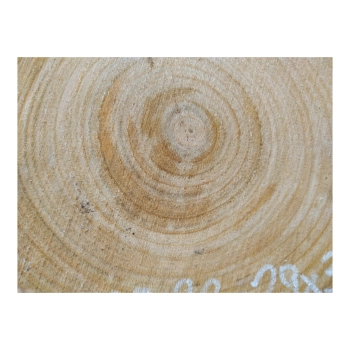 Plaster Czereśni 32x29x3cm