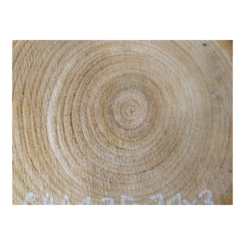 Plaster Czereśni 35x31x3cm