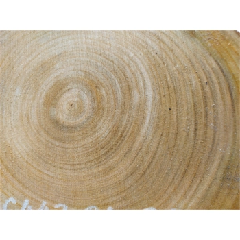 Plaster Czereśni 34x31x3cm