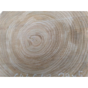 Plaster Czereśni 43x39x5cm