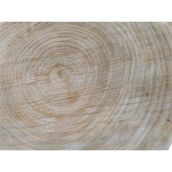 Plaster Czereśni 44x40x5cm