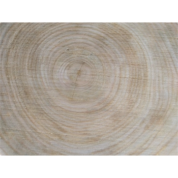 Plaster Czereśni 45x42x5cm