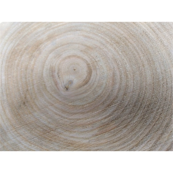 Plaster Czereśni 43x41x5cm