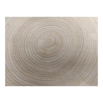 Plaster Czereśni 41x37x4cm