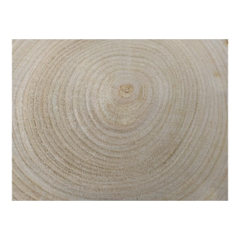 Plaster Czereśni 41x36x4cm