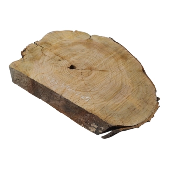 Plaster Czereśni 51x42x3cm