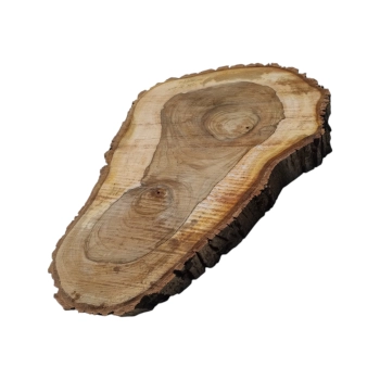 Plaster Orzecha Włoskiego 77x50x7cm