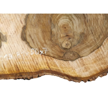 Plaster Orzecha Włoskiego 81x50x7cm