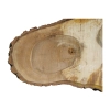 Plaster Orzecha Włoskiego 80x48x7cm