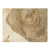 Plaster Orzecha Włoskiego 80x48x7cm