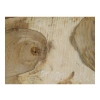 Plaster Orzecha Włoskiego 80x48x7cm