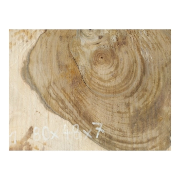Plaster Orzecha Włoskiego 80x48x7cm