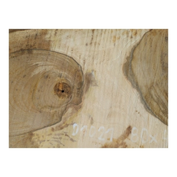 Plaster Orzecha Włoskiego 80x48x7cm