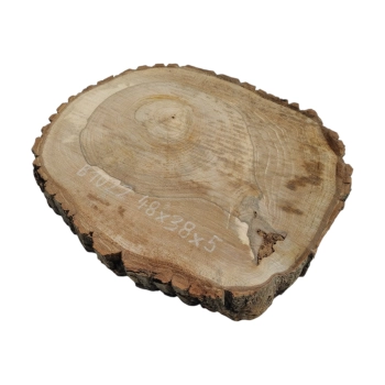 Plaster Orzecha Włoskiego 48x38x5cm