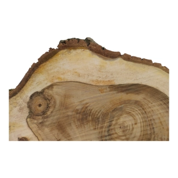 Plaster Orzecha Włoskiego 57x43x5cm
