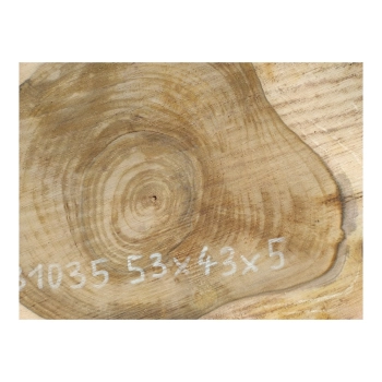 Plaster Orzecha Włoskiego 53x43x5cm