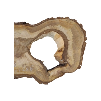 Plaster Orzecha Włoskiego 79x42x6cm