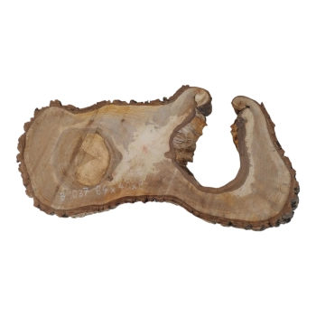 Plaster Orzecha Włoskiego 84x40x8cm