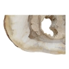 Plaster Orzecha Włoskiego 56x37x6cm