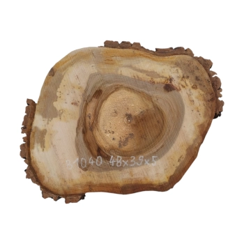 Plaster Orzecha Włoskiego 48x39x5cm