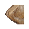 Plaster Orzecha Włoskiego 54x48x5cm
