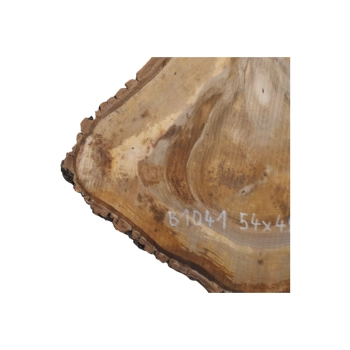 Plaster Orzecha Włoskiego 54x48x5cm