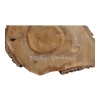 Plaster Orzecha Włoskiego 54x44x5cm