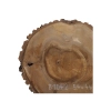 Plaster Orzecha Włoskiego 54x44x5cm