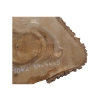 Plaster Orzecha Włoskiego 54x44x5cm
