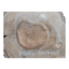 Plaster Orzecha Włoskiego 54x44x5cm