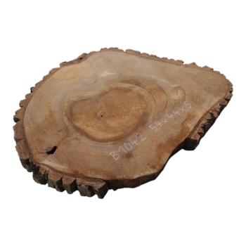 Plaster Orzecha Włoskiego 54x44x5cm
