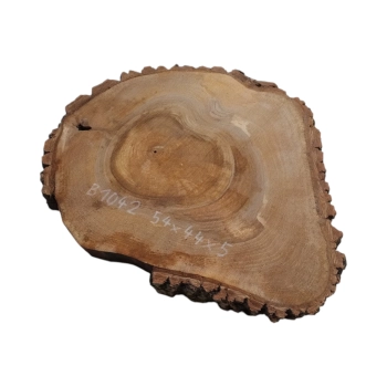 Plaster Orzecha Włoskiego 54x44x5cm