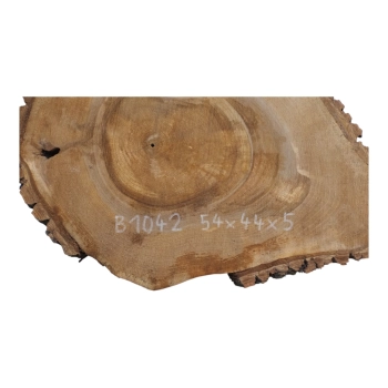 Plaster Orzecha Włoskiego 54x44x5cm