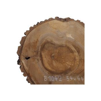 Plaster Orzecha Włoskiego 54x44x5cm