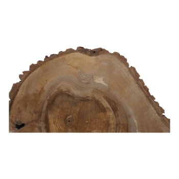 Plaster Orzecha Włoskiego 54x44x5cm