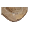 Plaster Orzecha Włoskiego 55x47x5cm