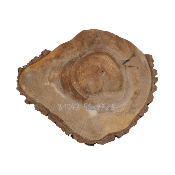 Plaster Orzecha Włoskiego 55x47x5cm