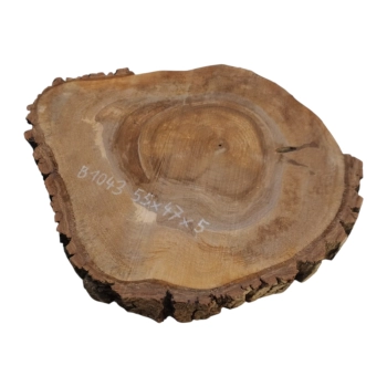 Plaster Orzecha Włoskiego 55x47x5cm