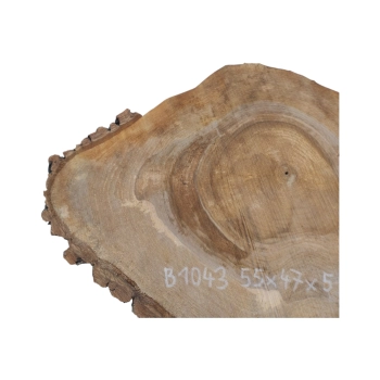 Plaster Orzecha Włoskiego 55x47x5cm