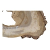 Plaster Orzecha Włoskiego 61x39x6cm