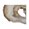 Plaster Orzecha Włoskiego 61x39x6cm