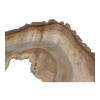 Plaster Orzecha Włoskiego 61x39x6cm