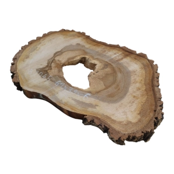 Plaster Orzecha Włoskiego 61x39x6cm