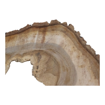 Plaster Orzecha Włoskiego 61x39x6cm